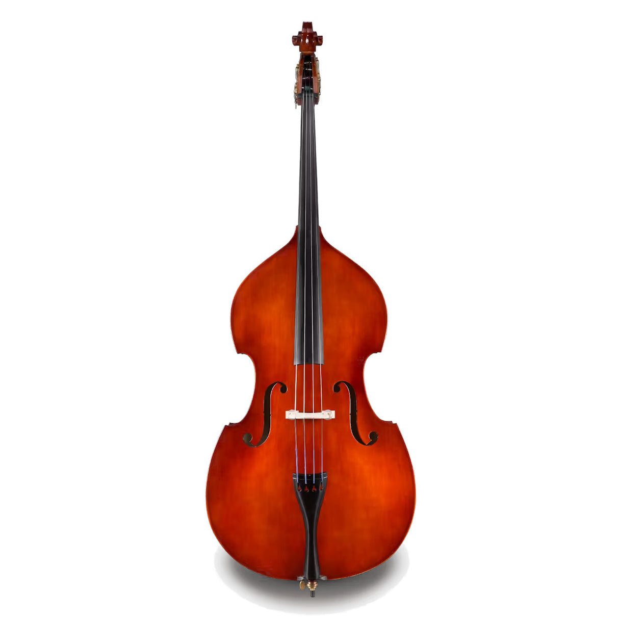 Eastman Strings Model 80 Student Double Bass Outfit - 3/4 Size