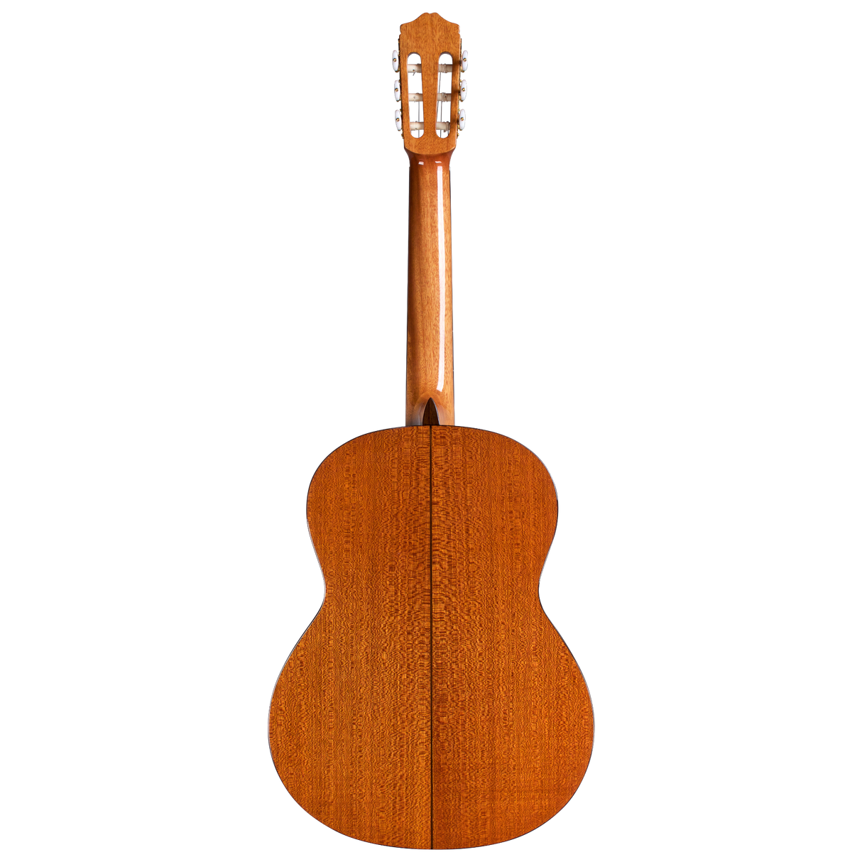 Cordoba C5 SP Classical Guitar - Spruce Top - New