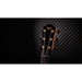 Taylor Custom #30 C16CE Grand Symphony Acoustic Electric Guitar - New