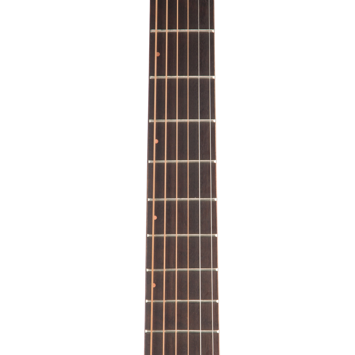 Breedlove Rainforest Abyss Concert LTD Acoustic Guitar - New