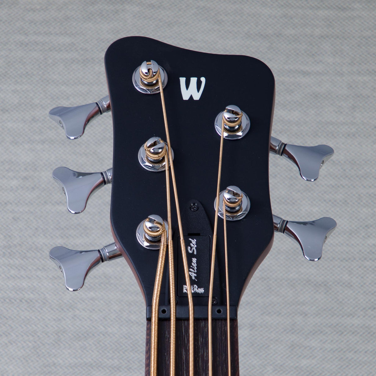 Warwick RockBass Alien Standard 5-String Acoustic Electric Bass Guitar - Natural Transparent Satin - #WAC C 010805-25