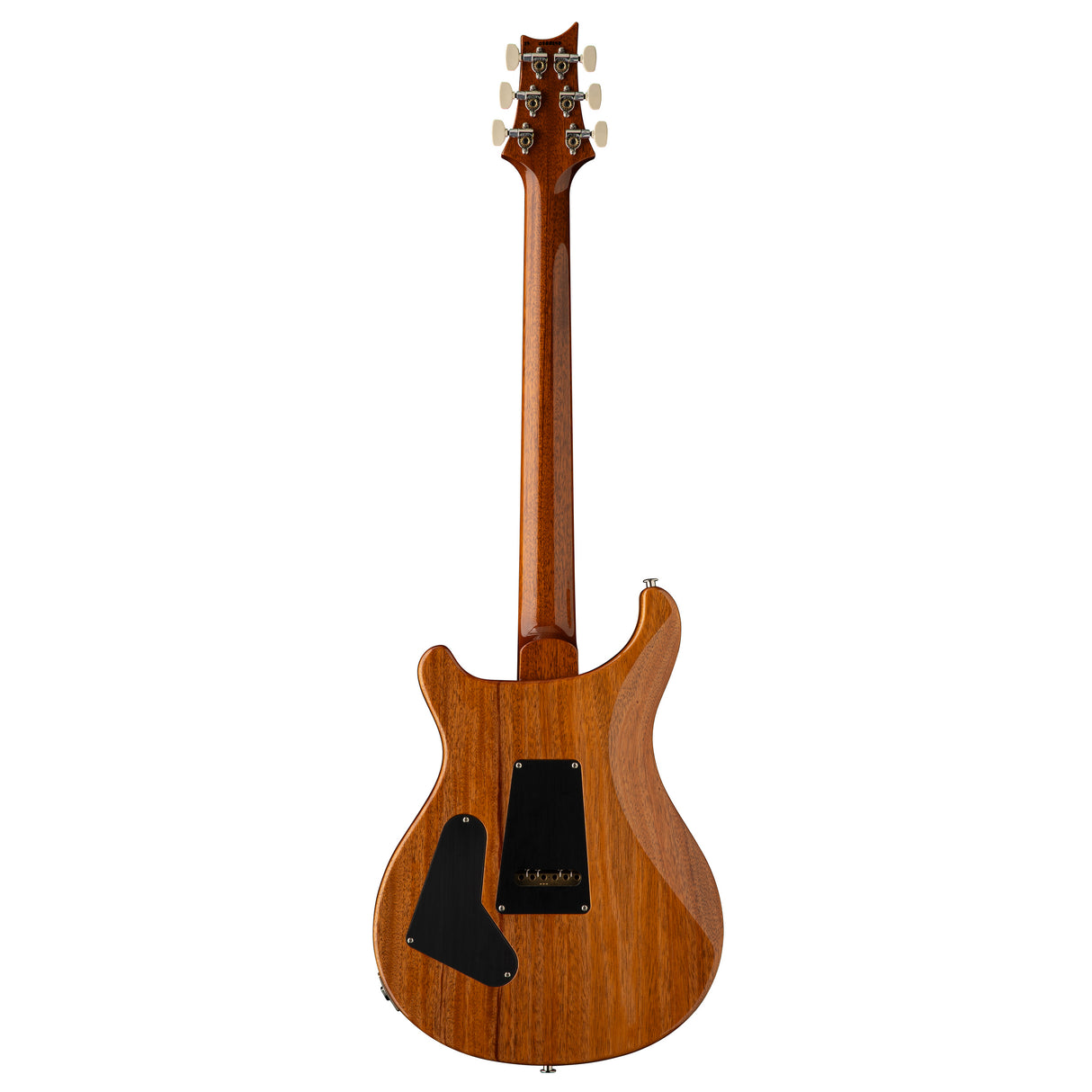 PRS Custom 24 10-Top Solid Body Electric Guitar - Aurora Borealis