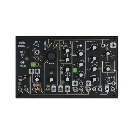 Make Noise 0-Coast Patchable Monophonic Analog Synthesizer