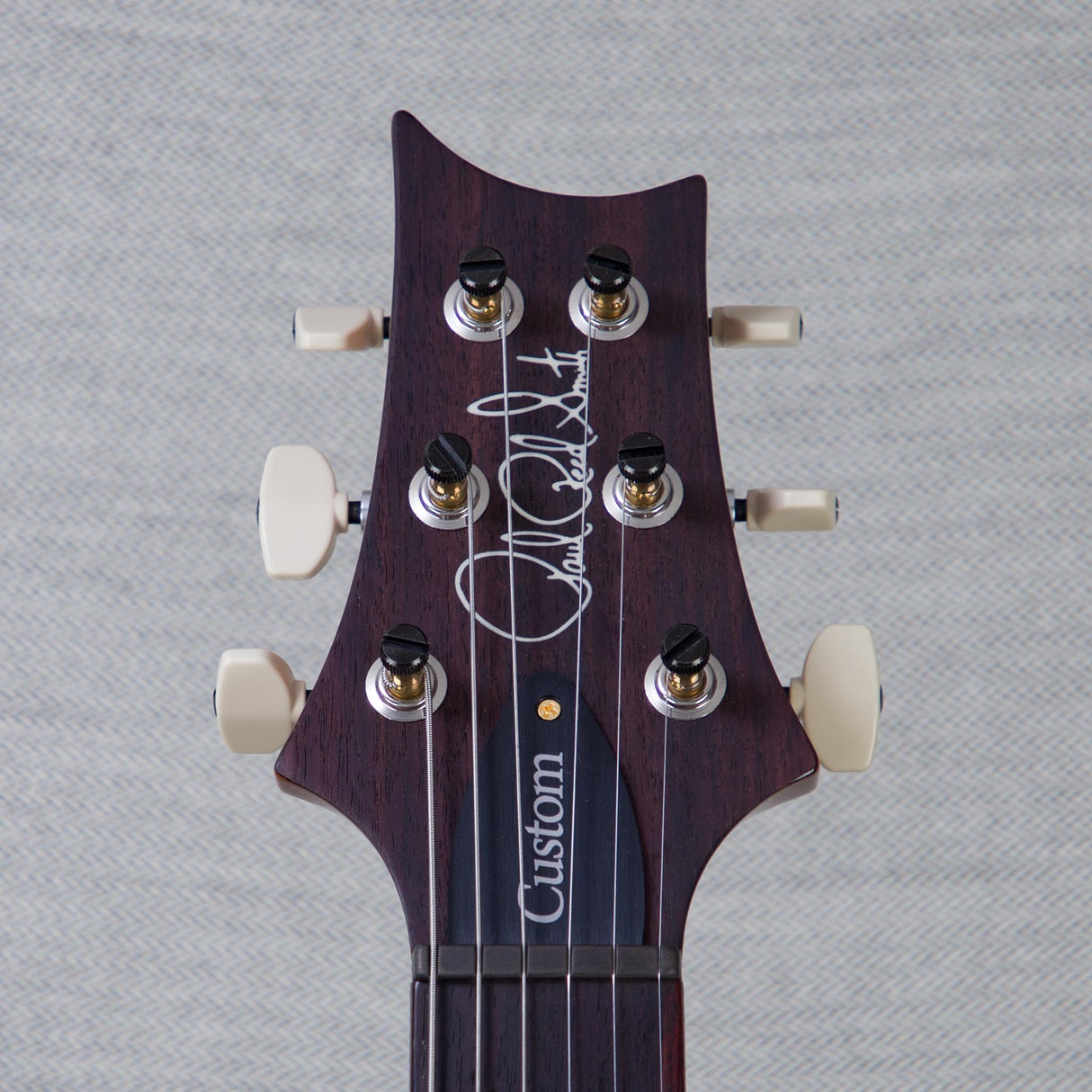 PRS Custom 24 Piezo 10-Top Solid Body Guitar - Aurora Borealis - #250403191