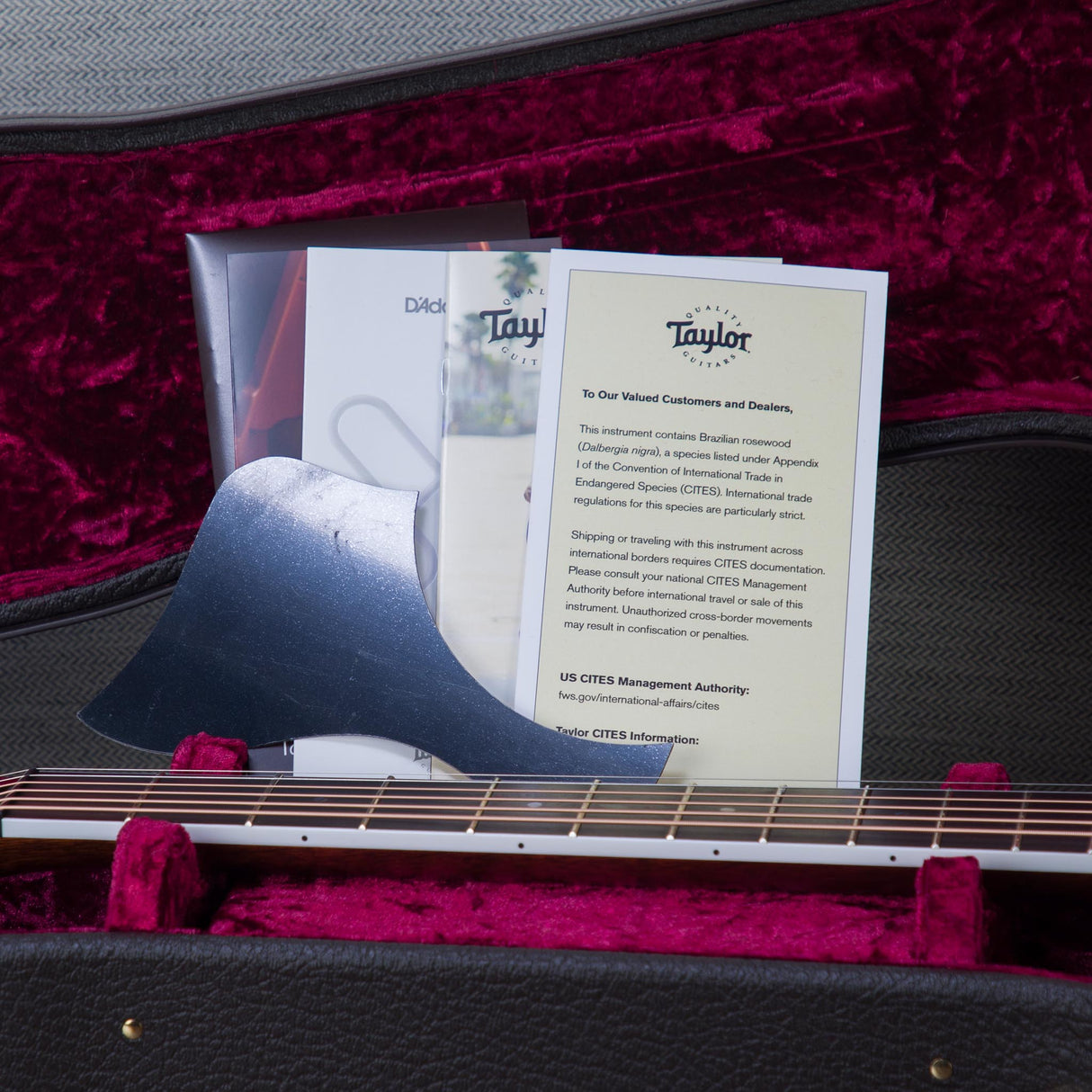 Taylor Custom Shop Grand Auditorium Lutz Spruce/Brazilian Rosewood Acoustic Electric Guitar - #1201266083