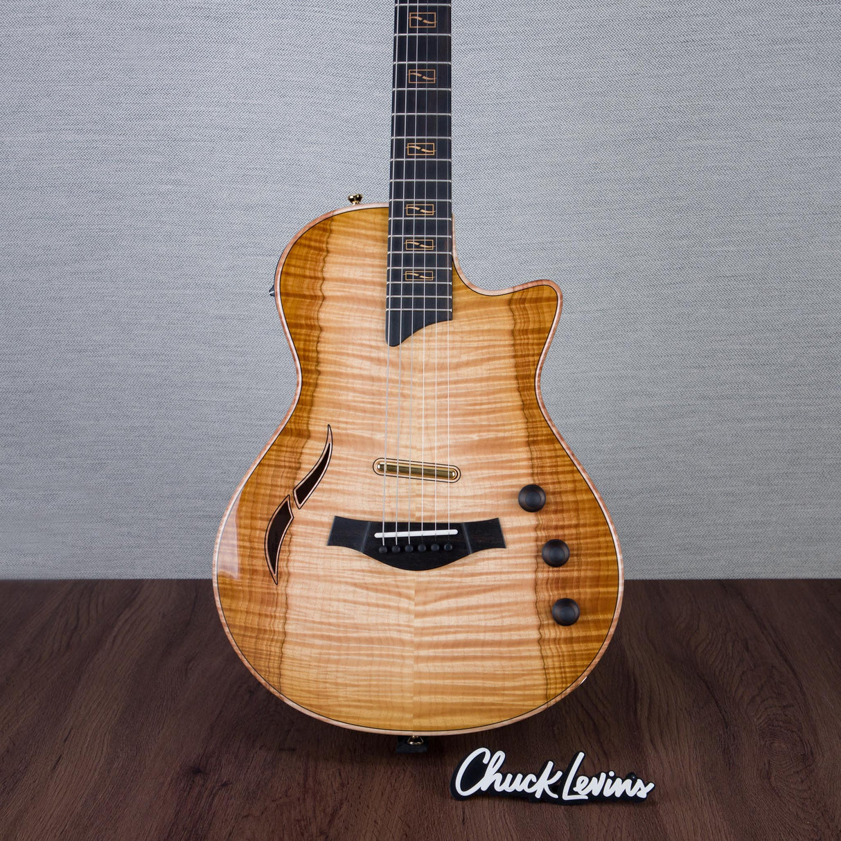 Taylor NAMM 2025 Custom Catch #27 T5z Semi-Hollowbody Acoustic Electric Guitar - #1210024105