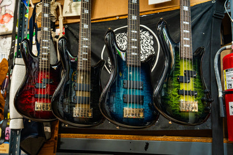 Four Spector ICON NS Neck Through basses on the wall at Chuck Levin's in Purple Cherry, Black Stain, Black and Blue, and Haunted Moss