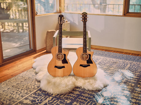 Taylor's New 12-Fret Grand Concert Collection