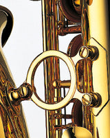 Yanagisawa AWO20UL Alto Saxophone - Unlacquered