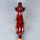 Germantown Violins Patricio BA100 Laminate Double Bass Outfit - 3/4 Size