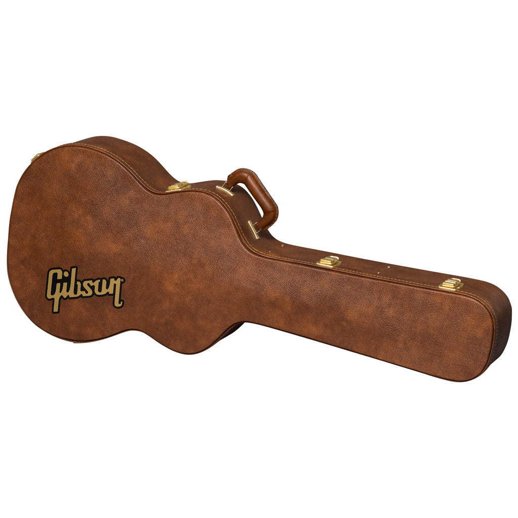 Guitar Cases - Chuck Levin's Washington Music Center