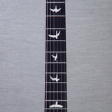 PRS CE-24 Spayer's Choice Electric Guitar - Cosmic Rain - #0435159