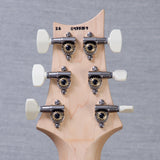 PRS CE-24 Spayer's Choice Electric Guitar - Cosmic Rain - #0435159