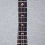 Beard Guitars Trailhead Resonator Acoustic Electric Guitar - Doghair - #1958-25