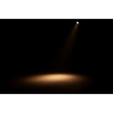 ADJ Encore FR20 DTW LED Fresnel