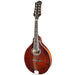 Eastman MD504 A-Style Mandolin - Classic - New