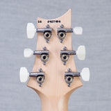 PRS CE 24 Sprayer's Choice Electric Guitar - Plumburst Fade - #0427936