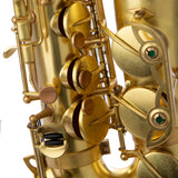 Lupifaro Platinum Series Alto Saxophone - Vintage