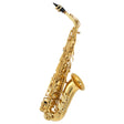 Buffet Crampon 100 Series Eb Student Alto Saxophone - Open Box, Mint
