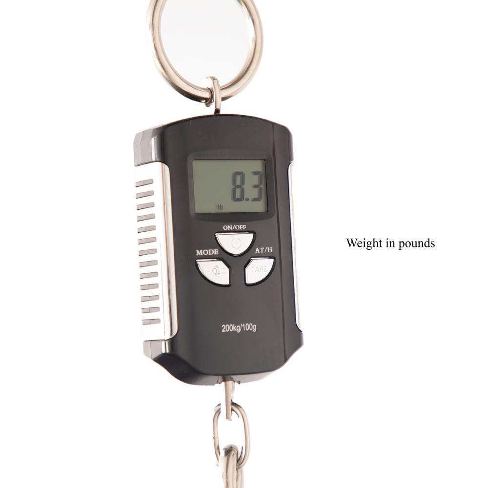 ESP Exhibition Limited Throbber CTM FL Electric Guitar - Natural Amorous Brown - New