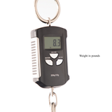 ESP Exhibition Limited Throbber CTM FL Electric Guitar - Natural Amorous Brown - New