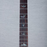 PRS Wood Library DGT Electric Guitar - Private Stock Frostbite Finish - CHUCKSCLUSIVE - #240388864