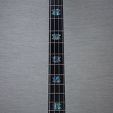 Spector NS-2 Bass Guitar - Northern Lights - #1535