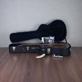 Beard Guitars Trailhead Resonator Acoustic Electric Guitar - Doghair - #1958-25