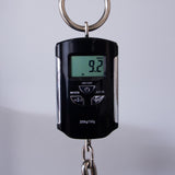 Brubaker USA Custom Steve Jenkins II JXB-5-String Electric Bass Guitar - Black Satin - #056