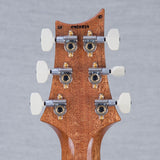 PRS Studio 10-Top Electric Guitar - Aurora Borealis - #250405824