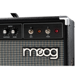 Moog Model 210 4-Channel 2 x 10-Inch Instrument Amplifier