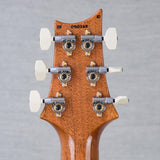 PRS Modern Eagle V 10-Top Electric Guitar - Aurora Borealis - #0410265