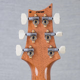 PRS Custom 24-08 10-Top Solid Body Guitar - Aurora Borealis - #250410253