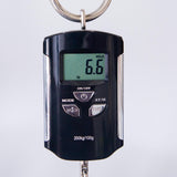 PRS 40th Anniversary Limited Edition Custom 24-08 Semi-Hollowbody Electric Guitar - Faded Whale Blue with Natural Back - #250400135