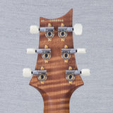 PRS Wood Library DGT Electric Guitar - Private Stock Frostbite Finish - CHUCKSCLUSIVE - #240388866