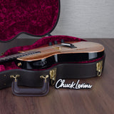 Taylor NAMM 2025 Custom Catch #27 T5z Semi-Hollowbody Acoustic Electric Guitar - #1210024105