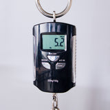 Martin Custom Shop D-28 Style Black Walnut/Italian Alpine Spruce Fishman Matrix VT 12-String Acoustic Electric Guitar - CHUCKCSCLUSIVE - #M2880834