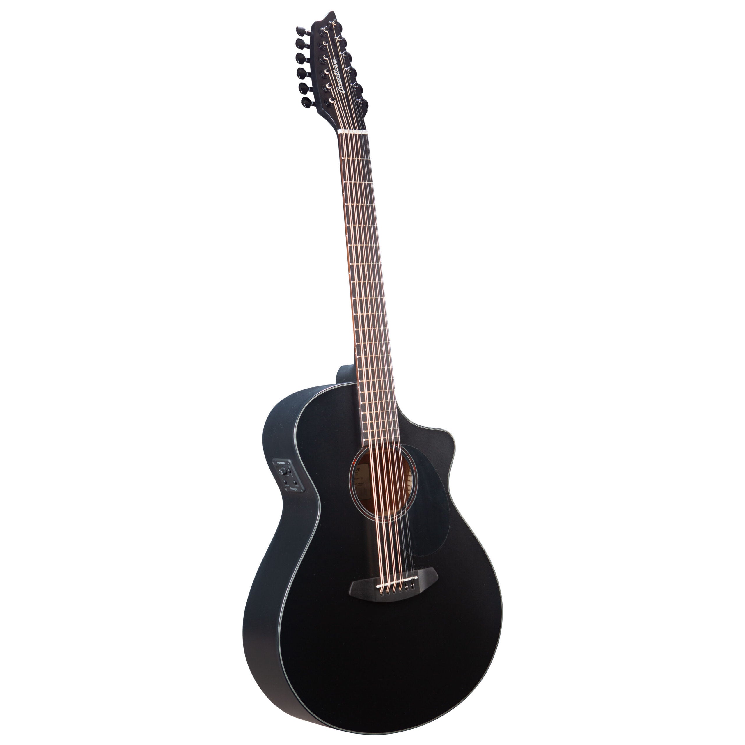 Breedlove Discovery S Concert Double Course 12-String Acoustic