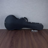 PRS Hollowbody II Piezo 10-Top Hollowbody Electric Guitar - Aurora Borealis