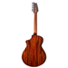 Breedlove ECO Discovery S Concert CE 12-String Acoustic Guitar - Edgeburst, African Mahogany - New