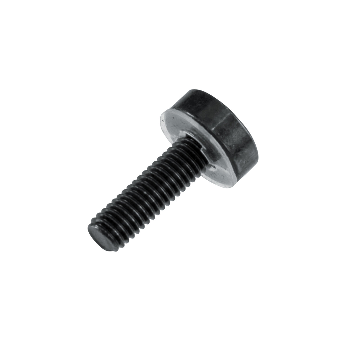 Gator Cases GRW-SCRW025 Rack Screws