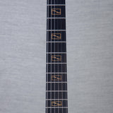 Taylor NAMM 2025 Custom Catch #27 T5z Semi-Hollowbody Acoustic Electric Guitar - #1210024105