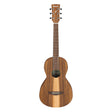Ibanez PN2WS Acoustic Guitar - Open Pore Brown