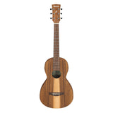 Ibanez PN2WS Acoustic Guitar - Open Pore Brown