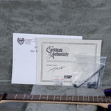 ESP George Lynch Signature Electric Guitar - Sunburst Tiger - #E7580242