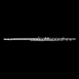 Di Zhao DZA-200 Alto Flute w/ Straight & Curved Headjoints