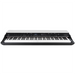 Korg Grandstagex 88-Key Stage Piano - Preorder