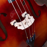 Germantown Violins Patricio BA100 Laminate Double Bass Outfit - 3/4 Size