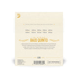 D'Addario EJ85 Bajo Quinto 10 String Set