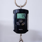 Spector USA Custom NS-2 Electric Bass Guitar - Chestnut Natural - #2200